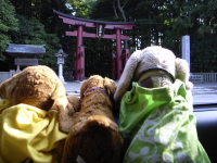 弥彦神社にて