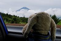 富士山が見えた