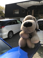 楽しい一日のはじまり