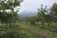 岩木山はきれいなお山でした