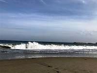 久しぶりに海に来たね