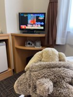 テレビを見るりゅっく君