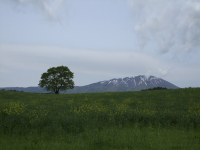 岩手山